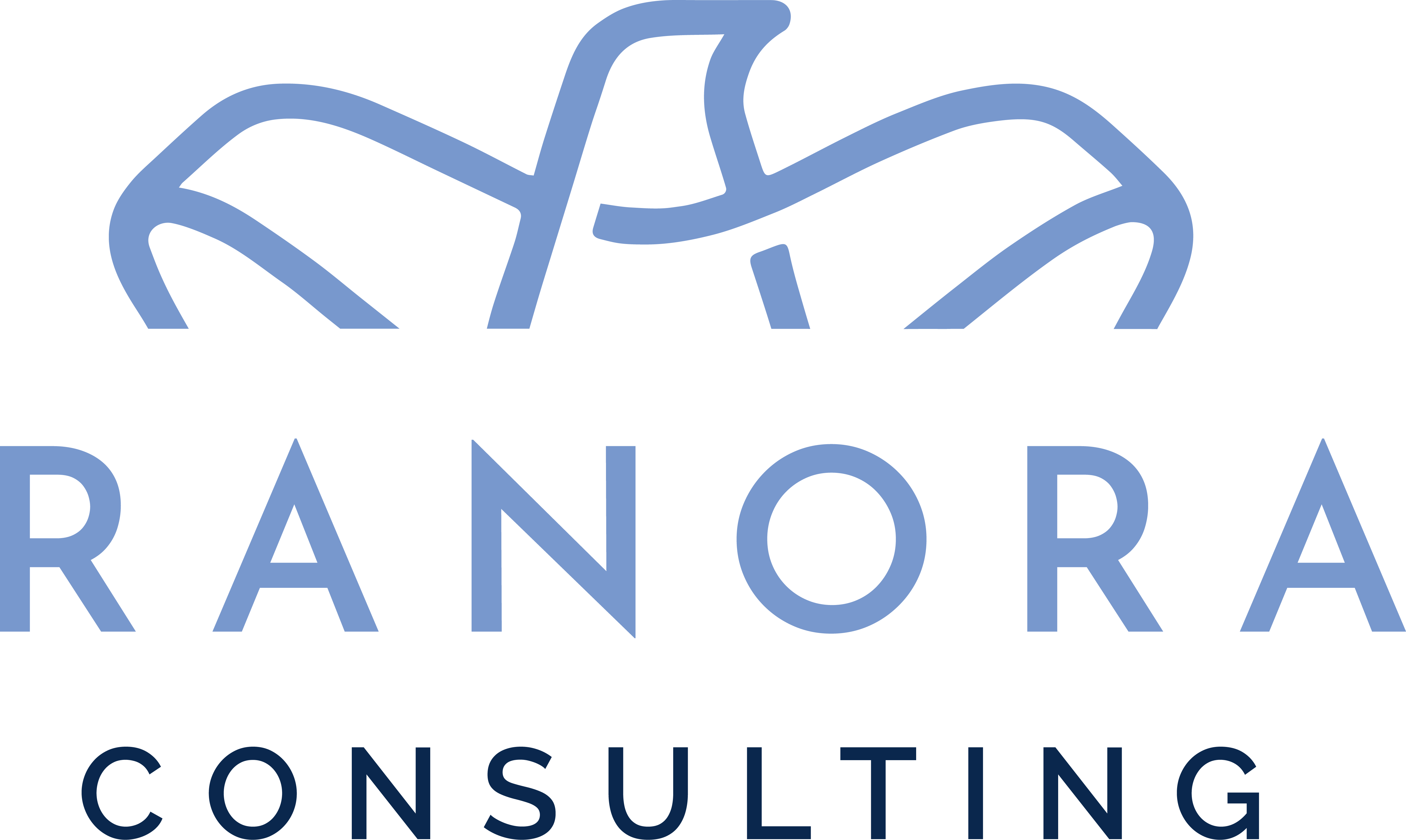 Ranora Consulting